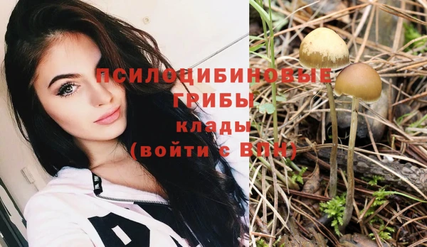 мяу мяу мука Алексеевка