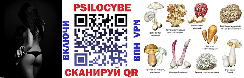 Галлюциногенные грибы Psilocybine cubensis  Саров 